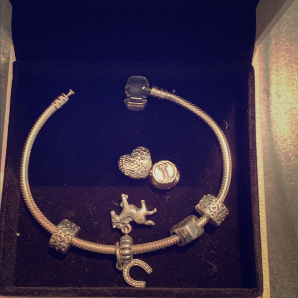 Pandora bracelet